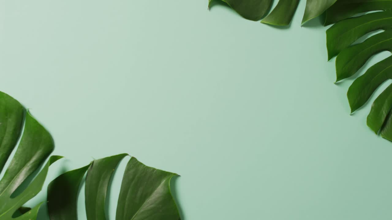 Animation of green lush leaves over green background with copy space