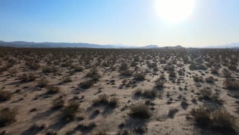 semi-arid deserts in joshua tree national park in california, united states