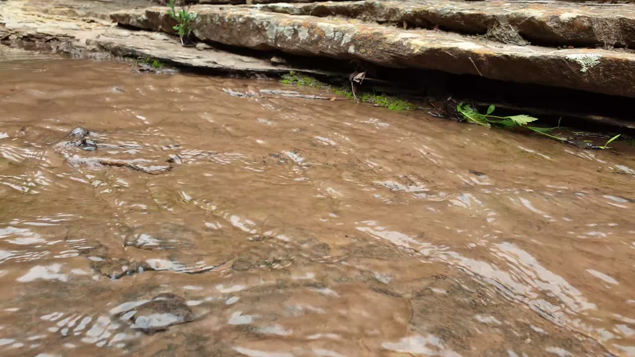 arroyo de agua de manantial de montaña corriendo por enormes losas de piedra arenisca de roca con musgo verde, algas y plantas verdes - agua potable cristalina, meditación tranquila y pacífica naturaleza al aire libre