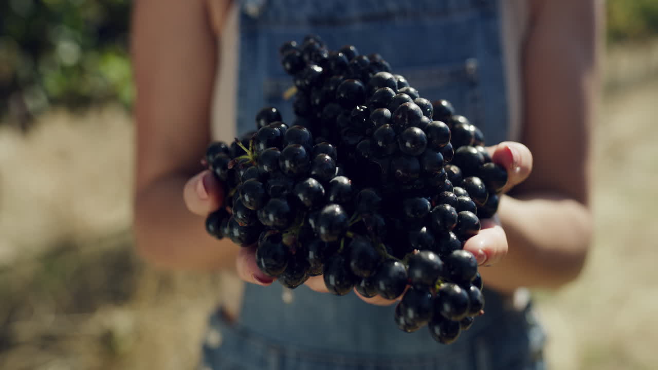 These are nature's candies