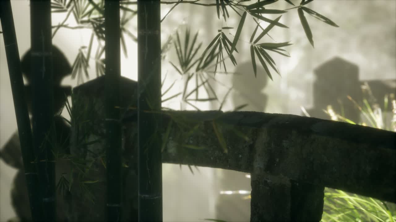 bosque de bambú de japón y hierba verde de prado con luz natural