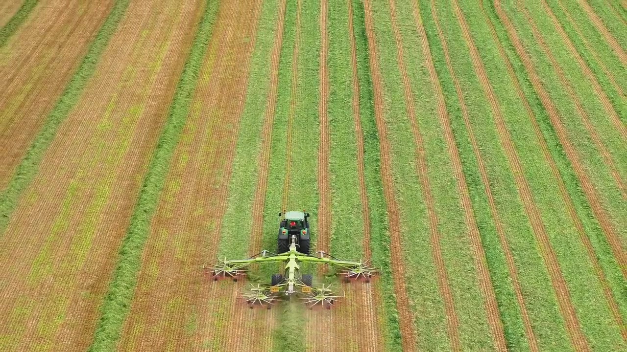 Processo di fienagione con trattore e rastrello sovradimensionato nell'Australia rurale.