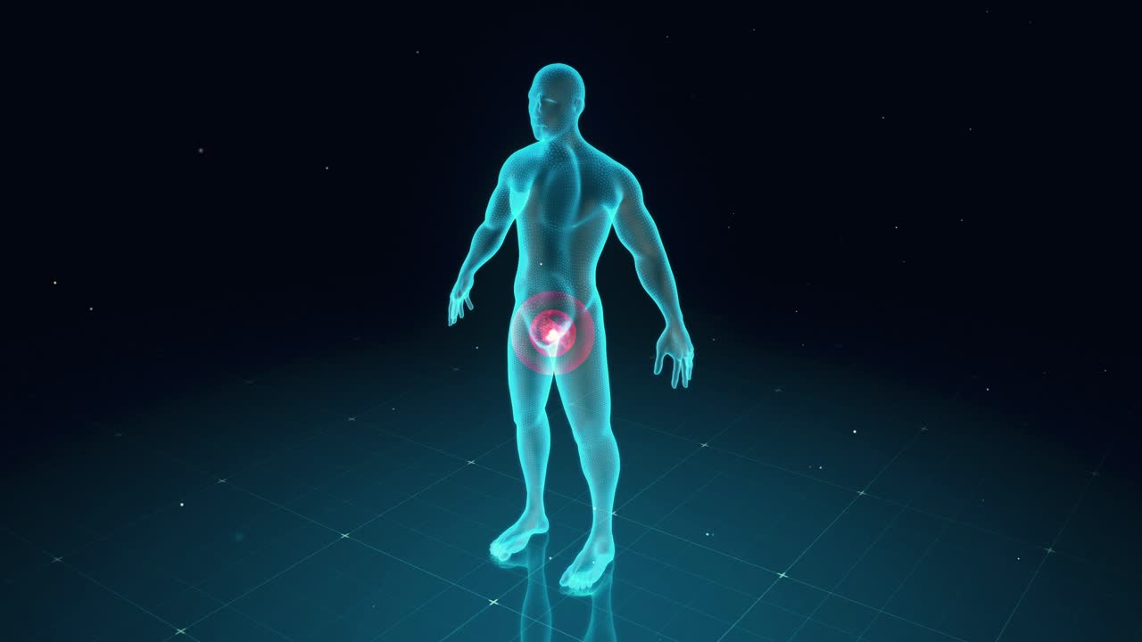 3D Visualization of Prostate