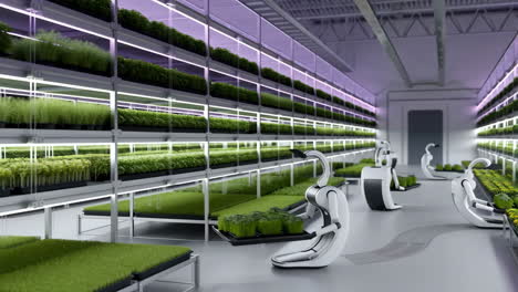 robotic automation in a modern vertical farm