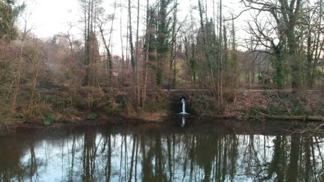 Push-out-aerial-water-stream-pouring-into-pond-tree-street-cloudy-day