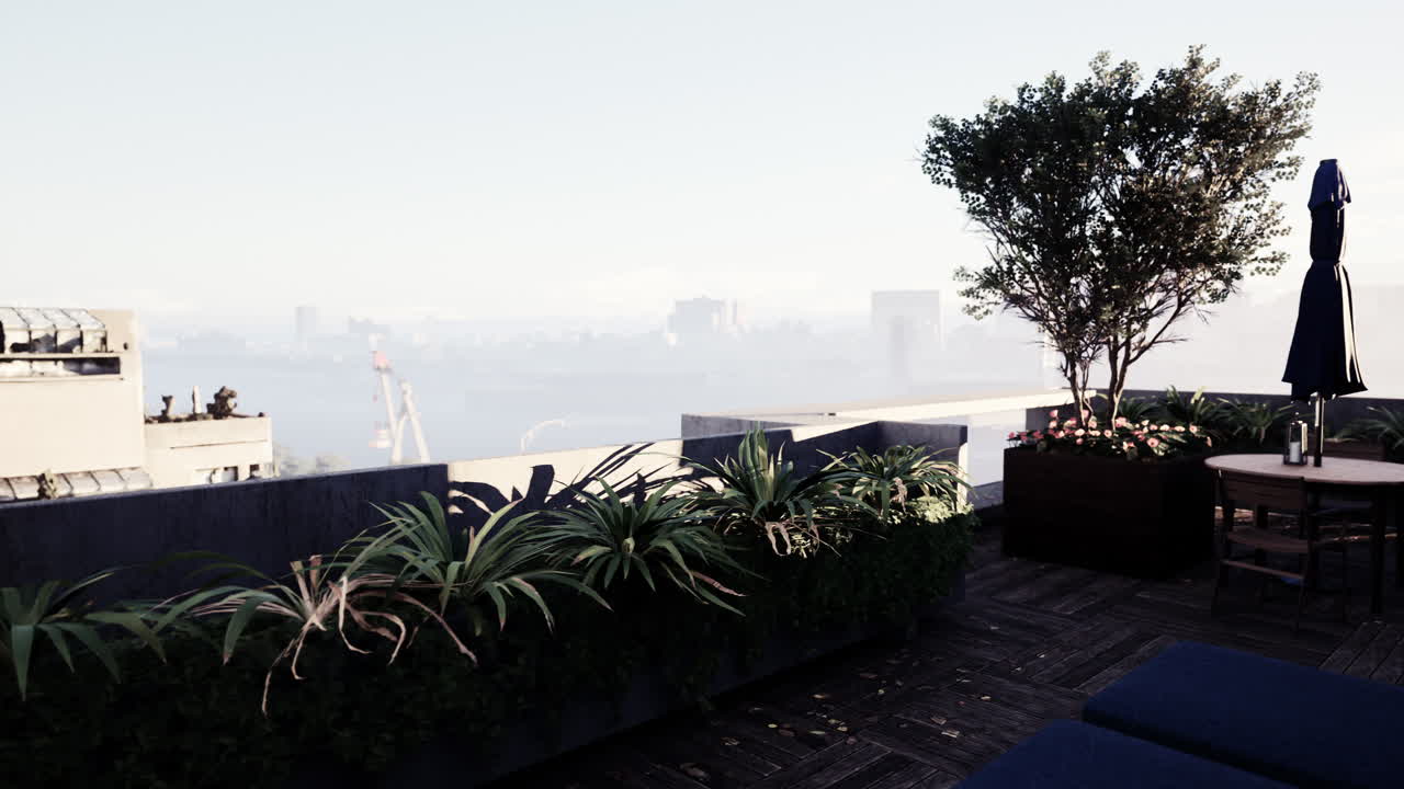 도시 전망이 있는 조용한 옥상 오아시스