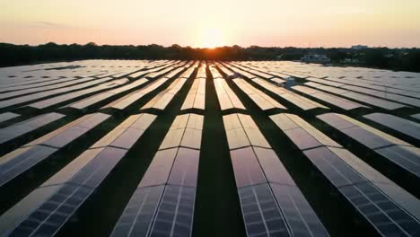 rows of solar panels stretch across the landscape as the sun rises on the horizon. this renewable energy site showcases an investment in sustainable power generation.