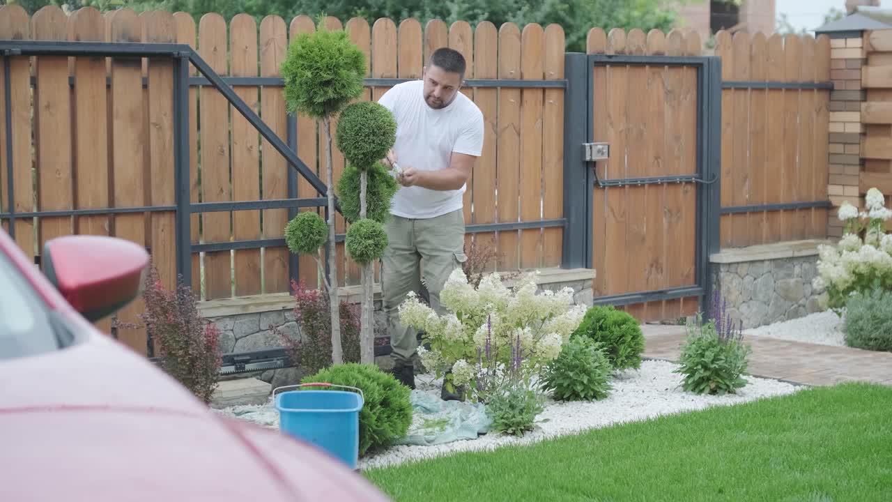 뒷마당 정원 에서 토피아리 나무 를 정리 하고 정비 하는 사람