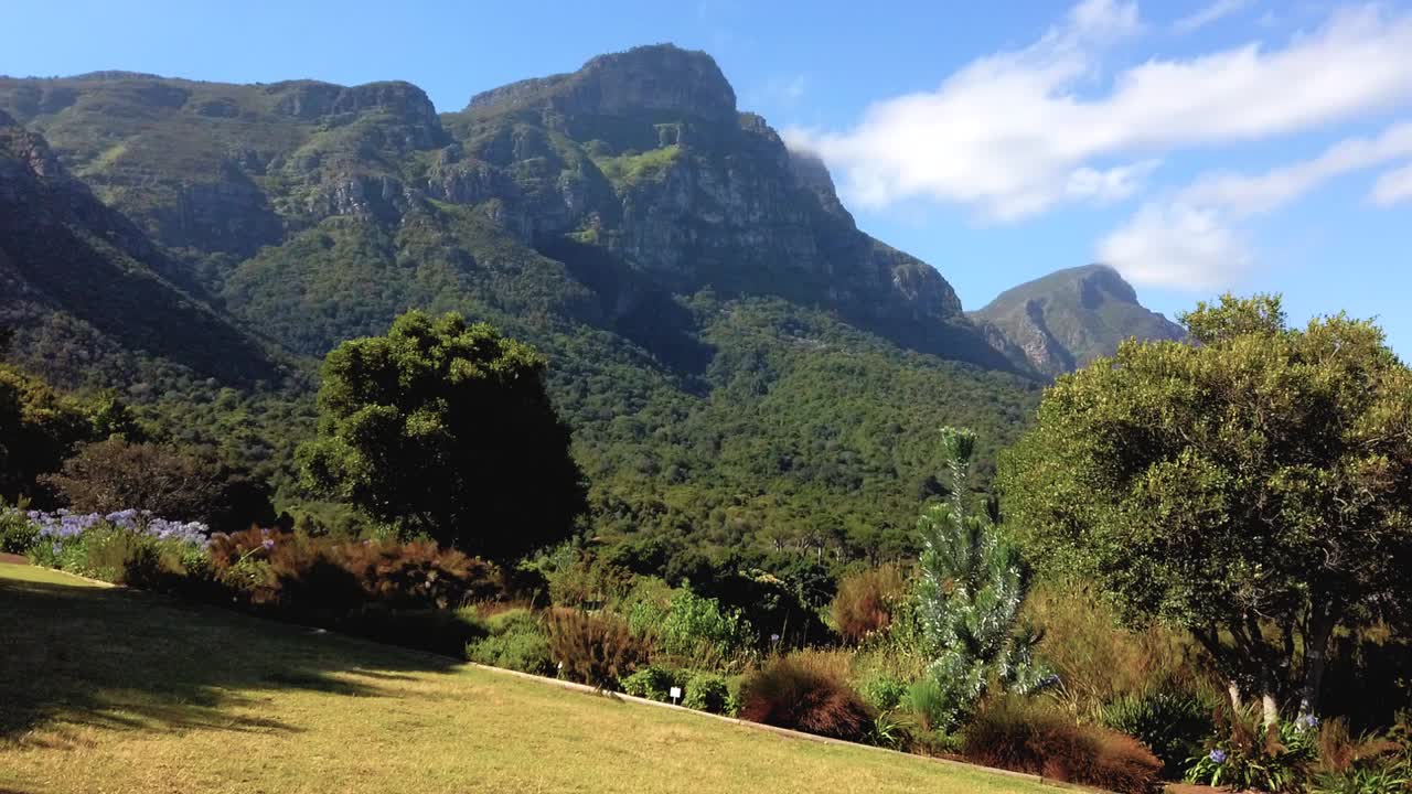 caminando hacia la montaña de la mesa en los jardines kirstenbosch