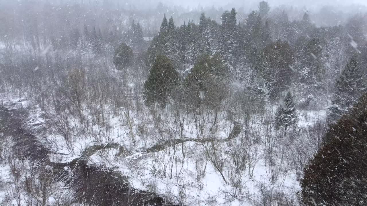 Snowfall In The Forest, Winter Landscape In Orford, Quebec, Canada - Aerial Drone Shot