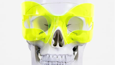 human skull with sunglasses