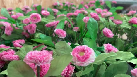 un primer plano de un hermoso jardín de flores