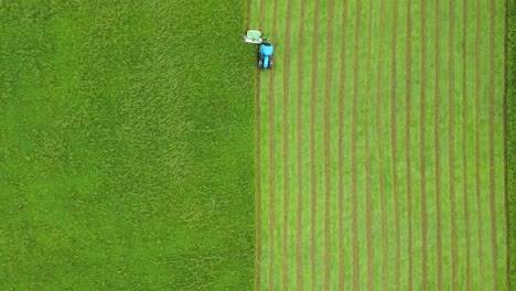 blue tractor cutting grass for cow food - bird's eye view