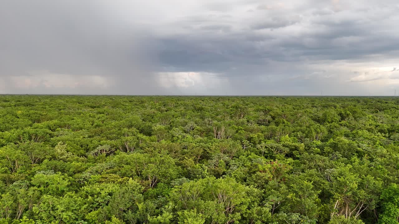 Cloudy sky pouring rain over the Yucatan Jungle