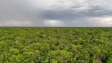 Cloudy sky pouring rain over the Yucatan Jungle