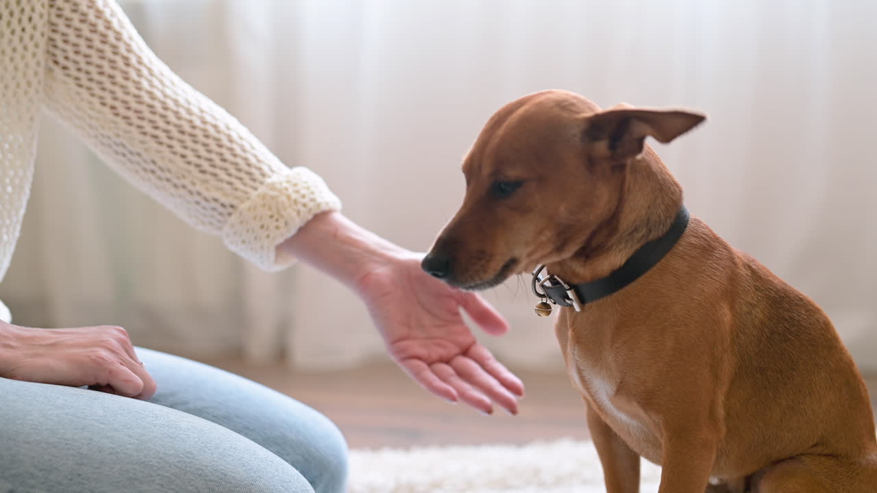 거실 1층 카펫에 무릎을 꿇고 있는 여성