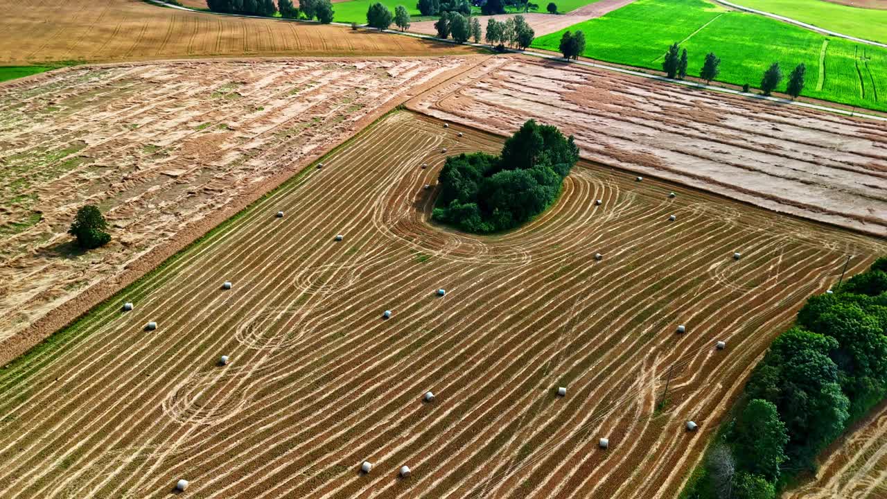 Baled hay fields in agricultural landscape with summer textures and patterns