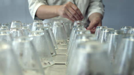 Scientist-preparing-laboratory-glassware-on-table-for-carring-out-experiments