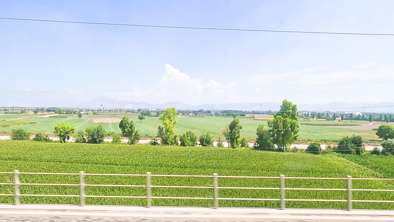 움직이는 열차 에서 볼 수 있는 울창 한 풍경