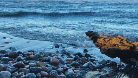 round and smooth stones washed by foamy waves on the shoreline