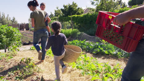 family working on community allotment together