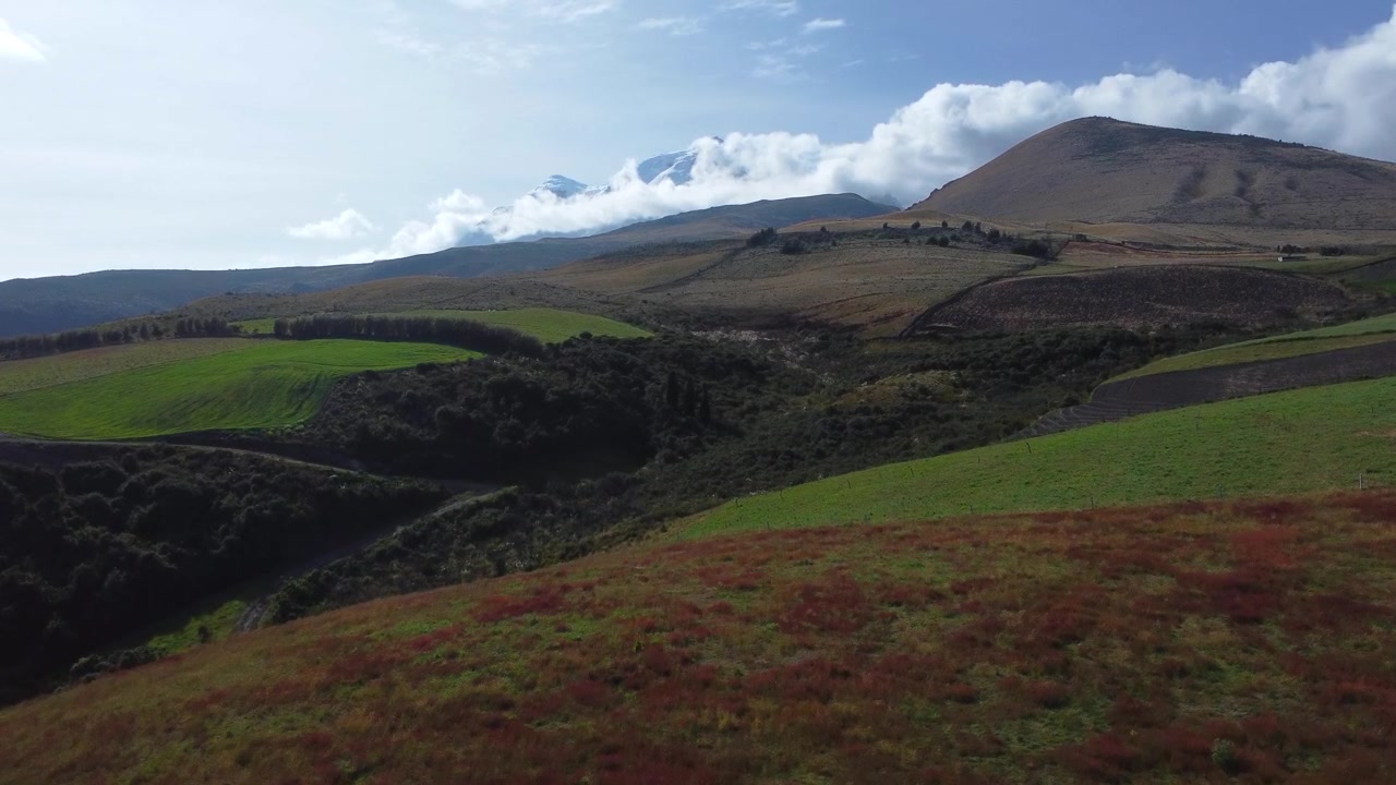 Ripresa aerea con drone del vulcano Cayambe con la cima innevata che si erge dietro le dolci colline del paramo, coperte da vegetazione montana rossa e verde, nelle Ande ecuadoriane.