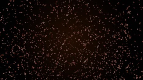 4k loop falling coffee beans on dark background. tasty coffe brew food and drink concept.