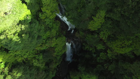 Flotando-Sobre-Las-Cataratas-Del-Filósofo-En-La-Selva-Tropical-De-Tasmania,-Australia