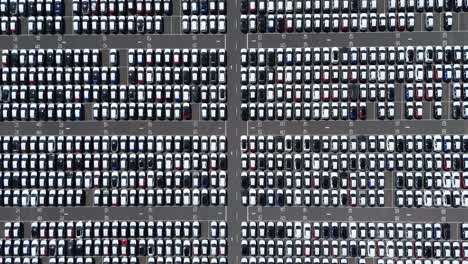 high aerial drone footage of car export and customs terminal with lined vehicles and logistics operations in grimsby england uk