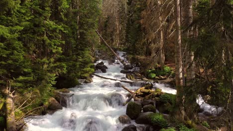 mountain river in the wood. beautiful wildlife landscape.