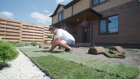 man laying sod grass in backyard garden for lawn installation and landscaping project, focused on home improvement and outdoor maintenance for a fresh, green lawn in a residential yard