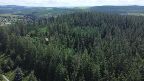 Aerial-view-rising-above-alpine-mountain-forest-trees-rolling-hills-countryside-in-the-distance