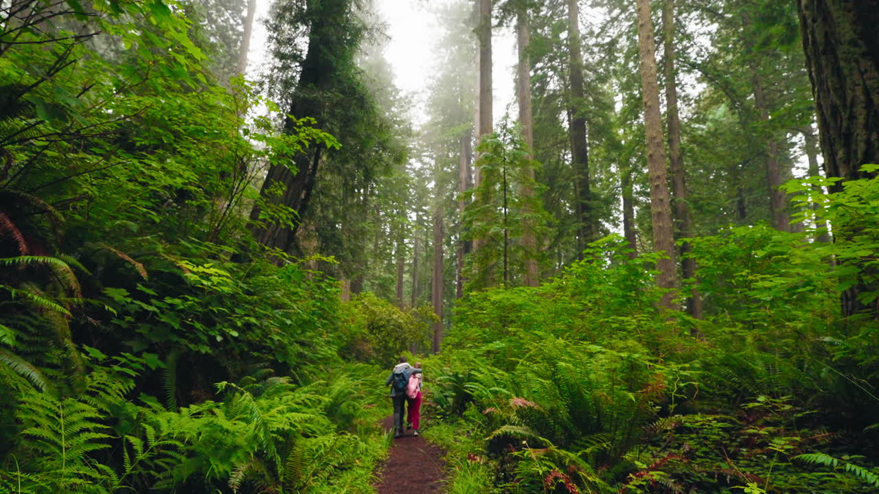 Young brother and sister walk playfully together along forest path