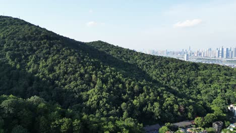 montañas verdes y la metrópolis más allá: un contraste impresionante de naturaleza y paisaje urbano
