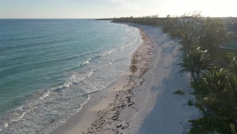 aerial of untouched beach by people