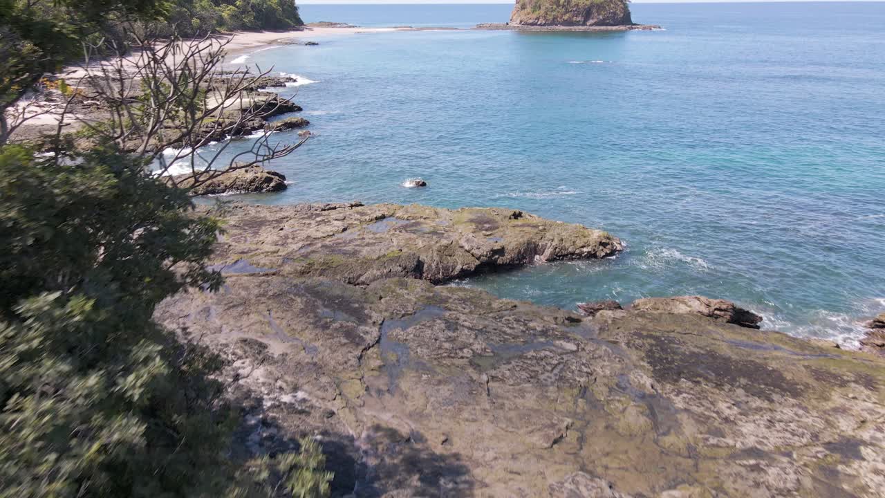 Ripresa aerea in discesa che supera un albero rivelando la spiaggia Playa Real sulla costa del Costa Rica