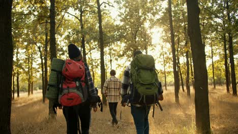 vista trasera de cuatro personas con ropa especial de senderismo con mochilas especiales de senderismo caminando por el bosque en la hierba seca del verano durante el sol brillante en el bosque. dos parejas de personas en una caminata