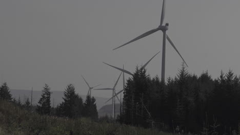 línea de aerogeneradores girando sobre colinas cubiertas de bosques en la distancia
