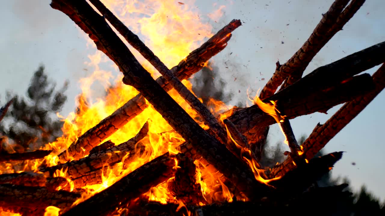 큰 캠프 불은 밤에 숲에서 나가지에서 불타고 있습니다.