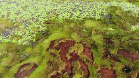 pitch - lago bituminoso en la isla de trinidad y tobago en el caribe tiro en el dji mavic air