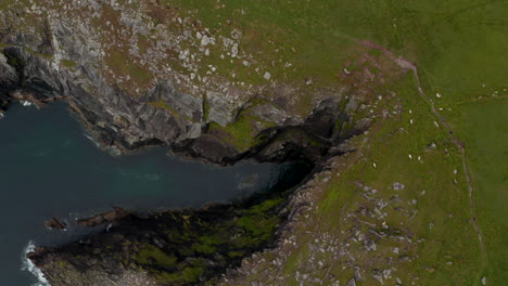 Aerial-birds-eye-overhead-top-down-view-of-rugged-sea-coast.-Calm-water-surface-under-high-rocky-cliff.-People-walking-on-panoramic-route-along-shore.-Ireland