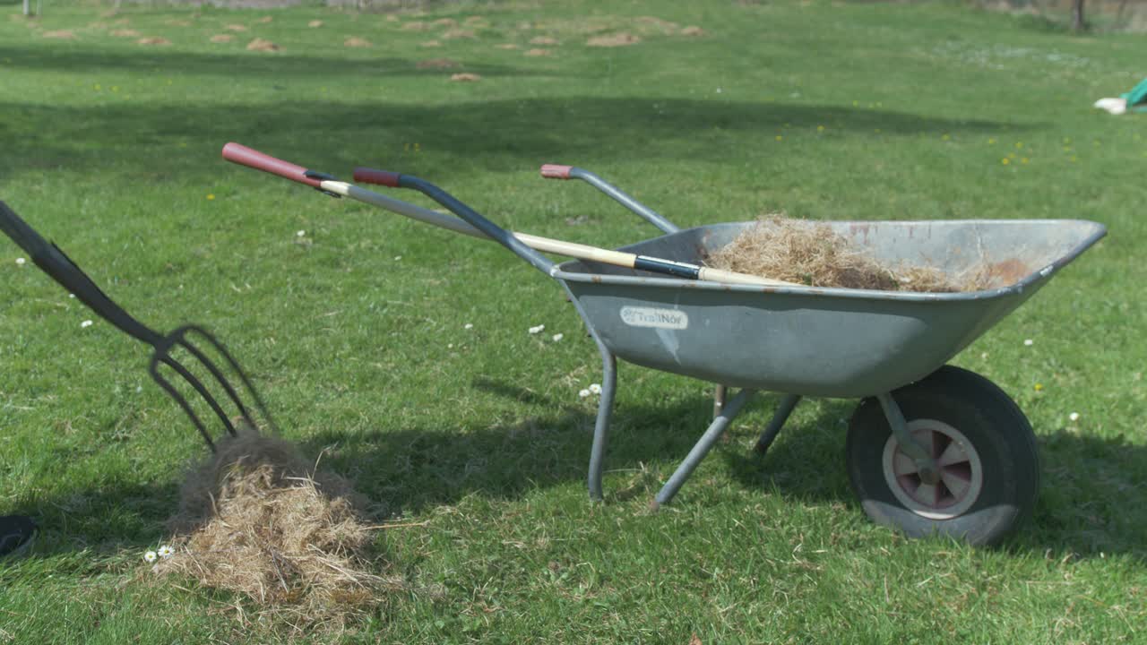 Young man filling wheelbarrow with dry grass using pitchfork