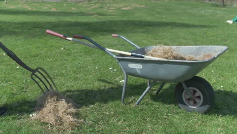 young man filling wheelbarrow with dry grass using pitchfork