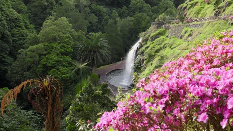 Malerische-Aussicht-Auf-Wasserfall-Und-Rosa-Blumen-Im-Naturpark-Ribeira-Dos-Calderoes