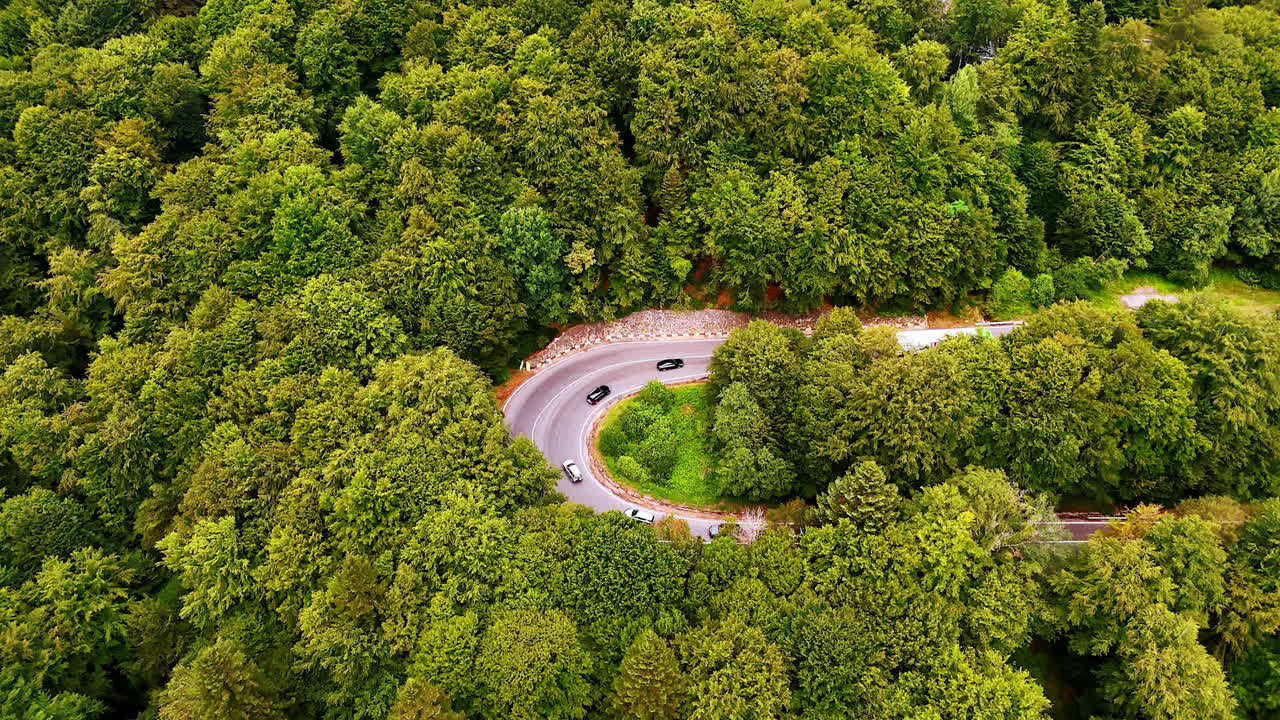 Curved road through dense Romanian forest. A winding road cuts through the dense green forest in the Carpathian Mountains of Romania, seen from above