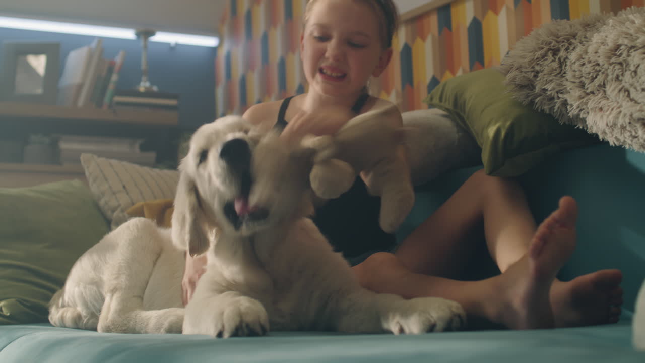 Girl playing with Puppy on a Couch