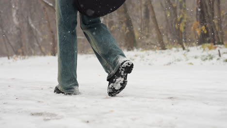 leg view of person in snow boots and jeans walking on snowy path surrounded by bare winter trees, with delicate snowflakes gently falling in serene winter atmosphere