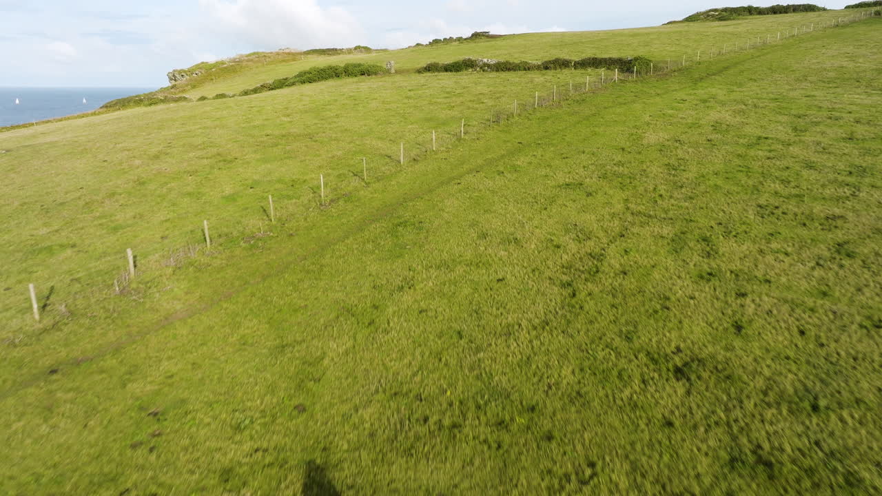 Coastal pastureland with cows