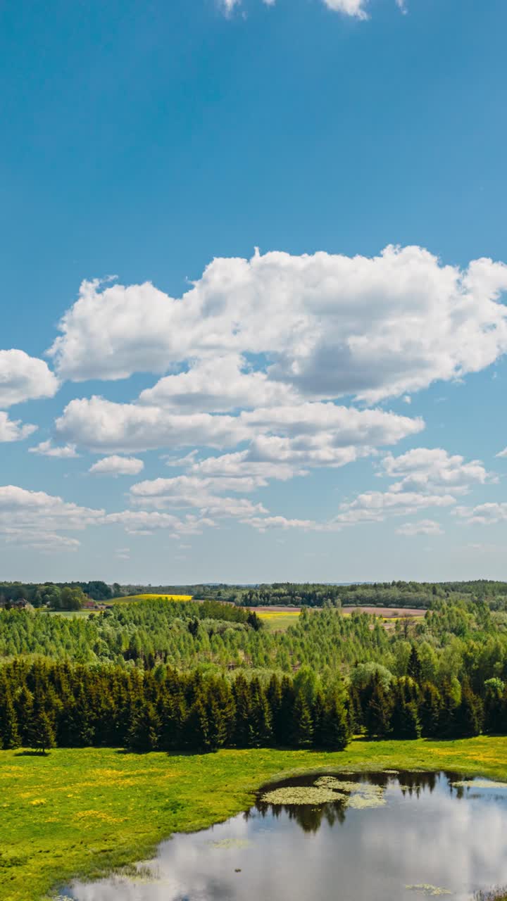 hiperlapso aéreo vertical de un hermoso campo de diente de león en primavera