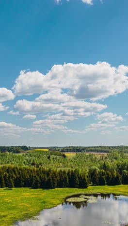 Vertical-aerial-hyperlapse-of-beautiful-dandelion-field-in-spring